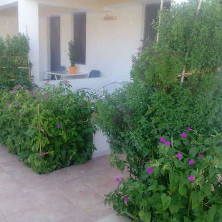 Villas Irene 5 Family Apartments Kokkini Hani 외부 사진