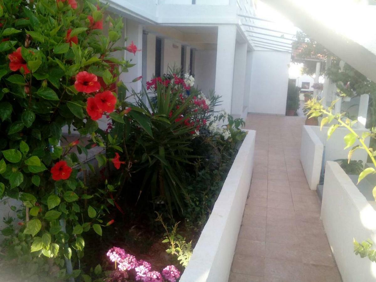 Villas Irene 5 Family Apartments Kokkini Hani 외부 사진