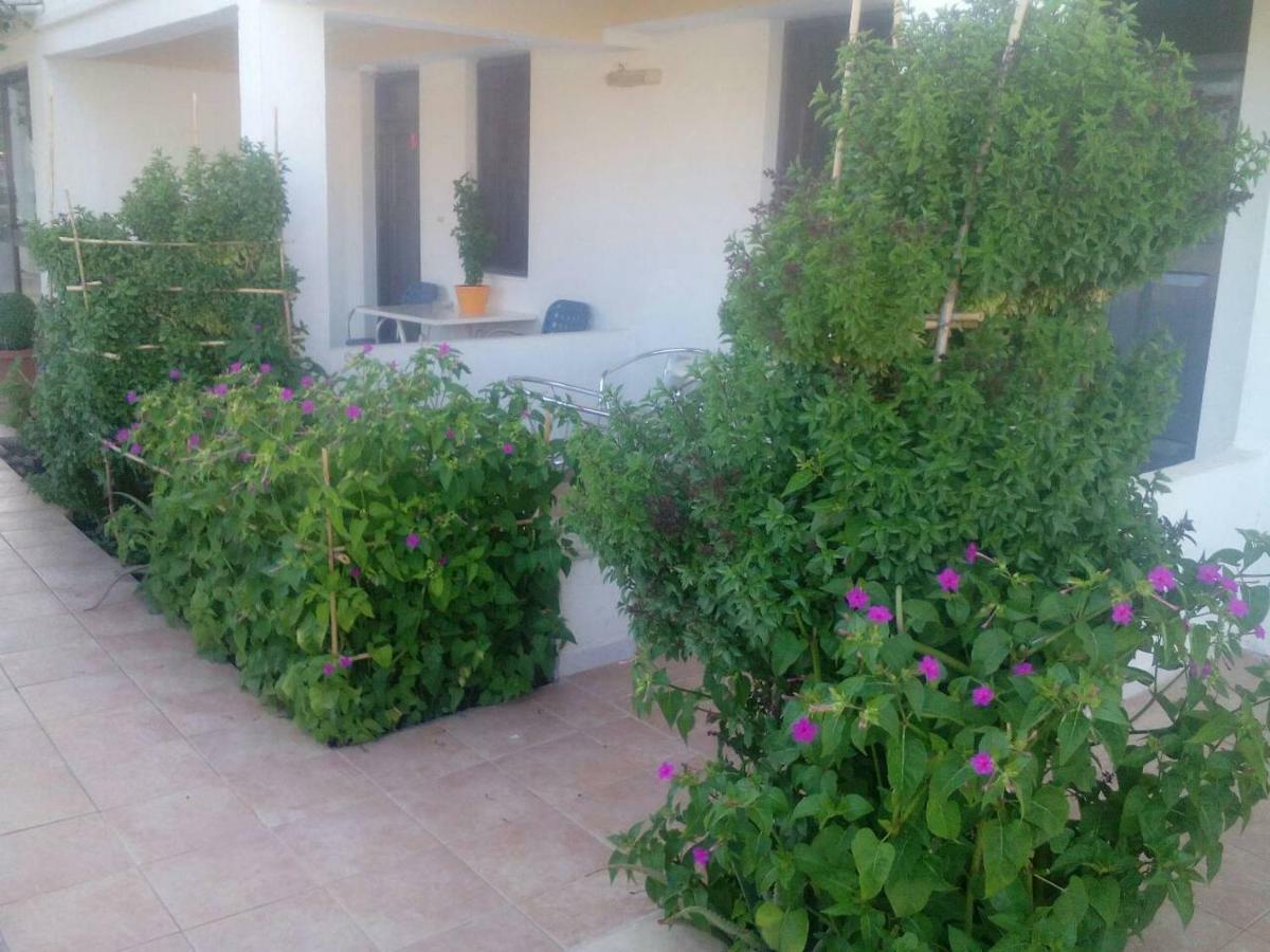 Villas Irene 5 Family Apartments Kokkini Hani 외부 사진