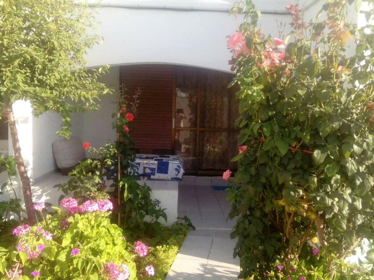 Villas Irene 5 Family Apartments Kokkini Hani 외부 사진